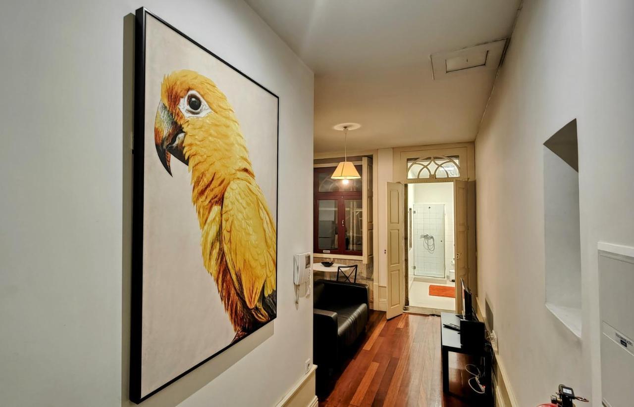 Apartamento Discovery | Porto-flores Porto